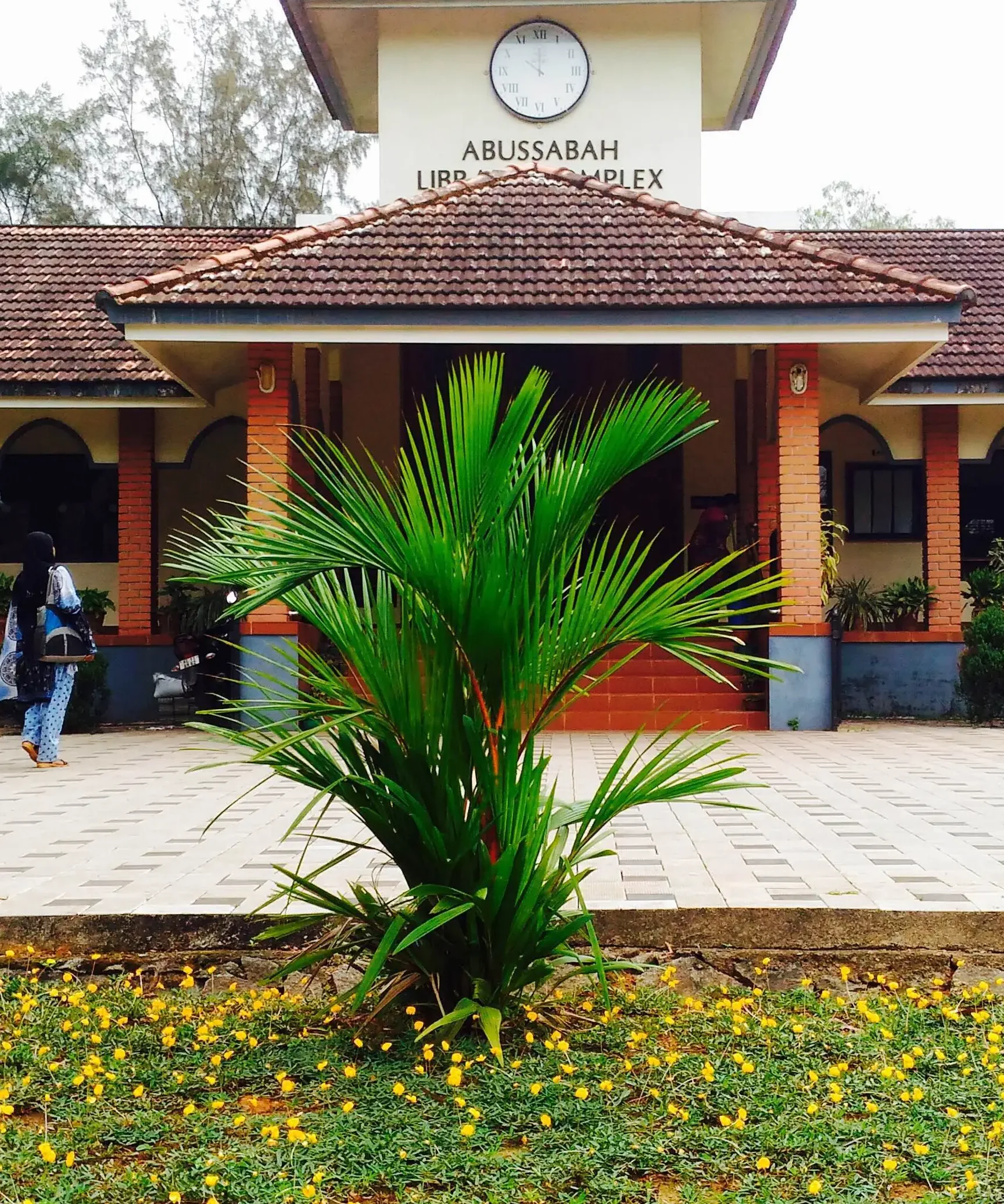 abu sabah library