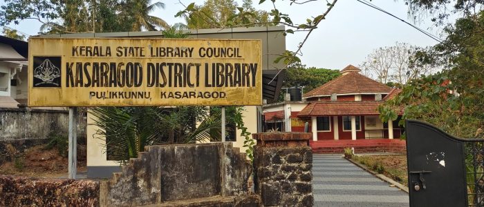 district library council