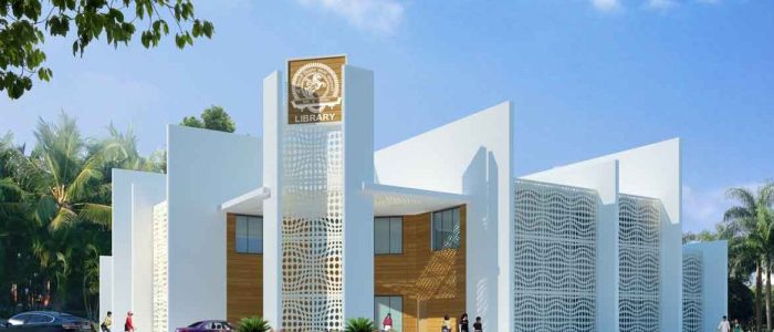 dr pdmmccentral library