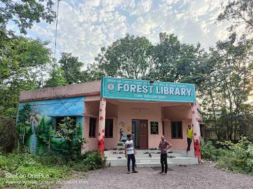Forest Library