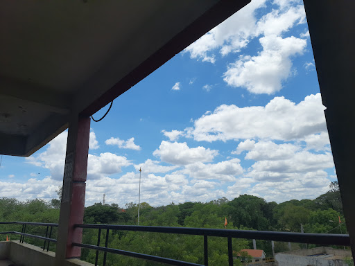 Navodaya Library