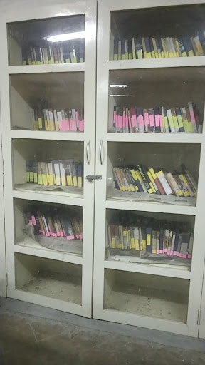 Mansion's library