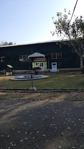 Rhino Library