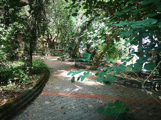 K N Raj Library (CDS)