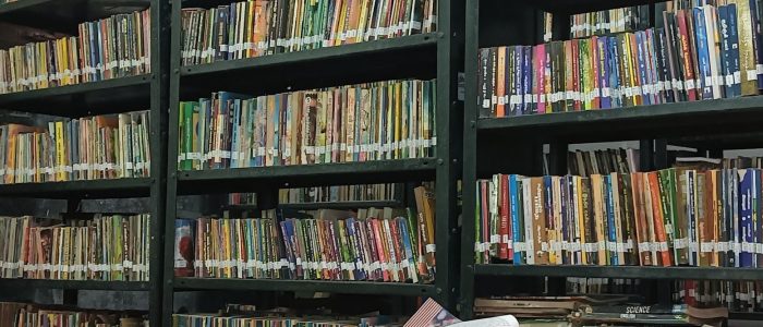 government branch library