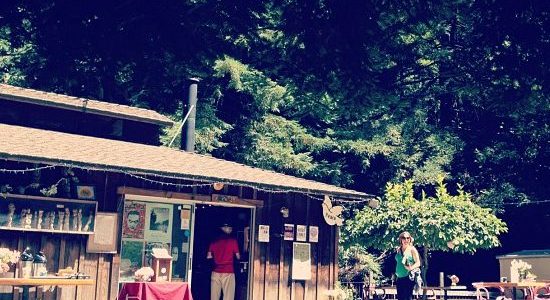 miller memorial library 1