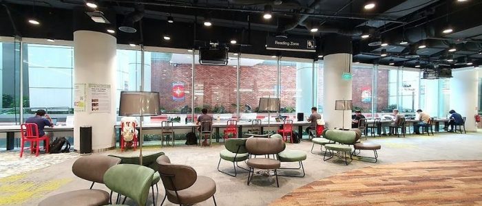 the central reading zone library