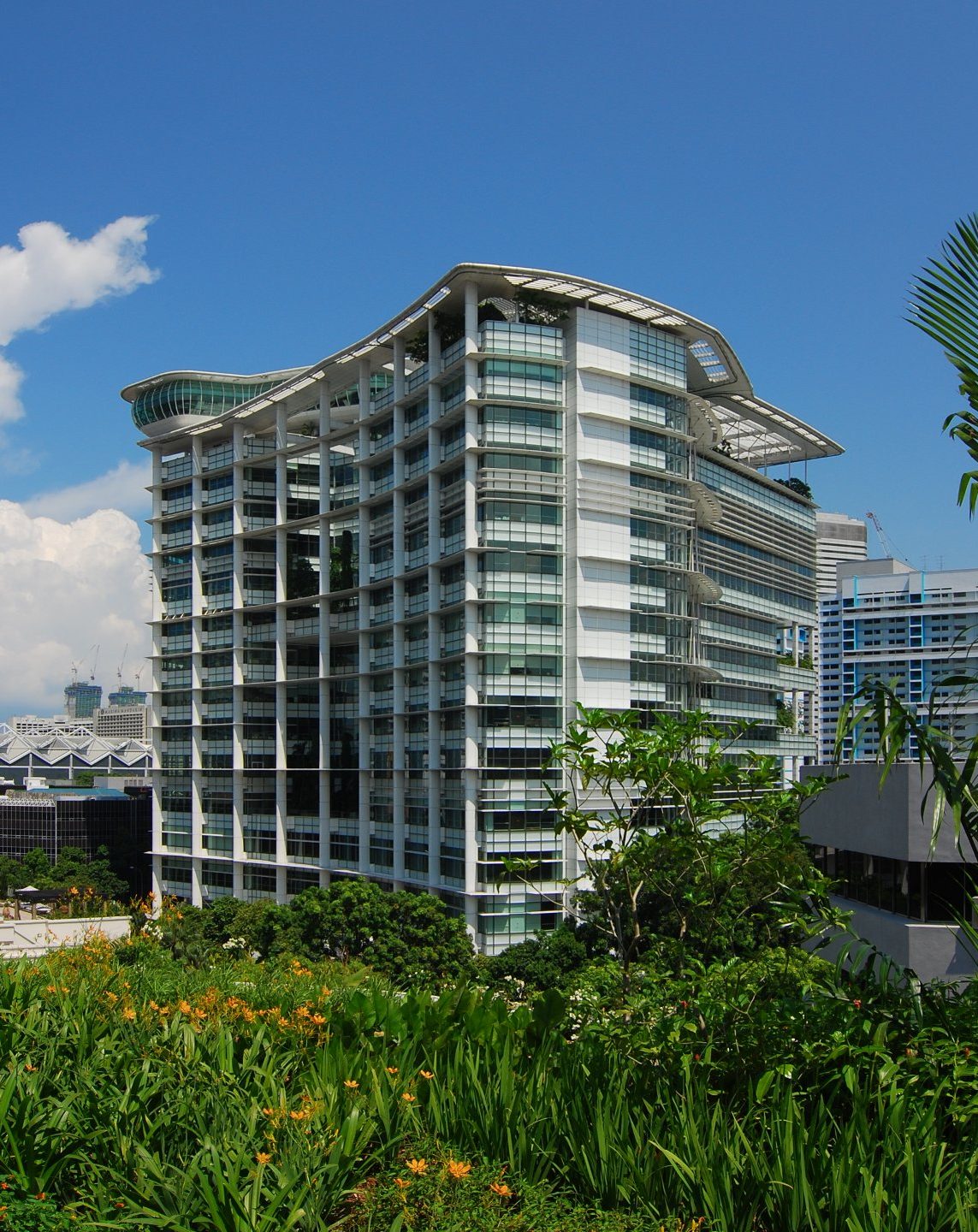 the national library