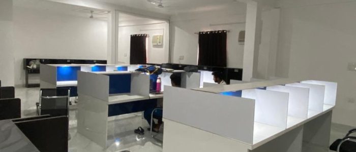 vidyapeeth library